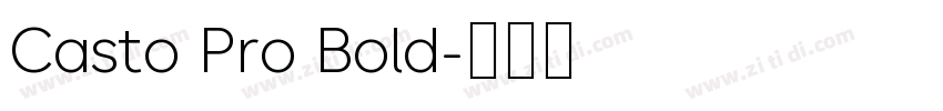 Casto Pro Bold字体转换